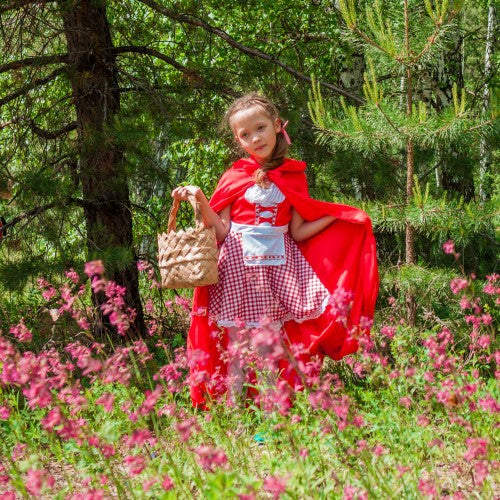 Little Red Riding Hood Costume for forest fairy party