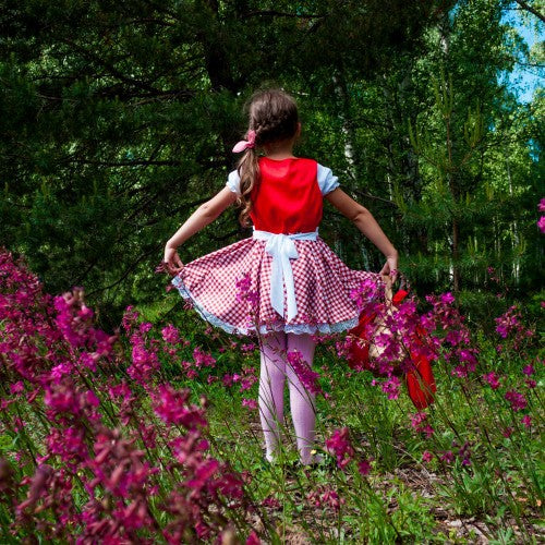 Little Red Riding Hood Costume for forest fairy party
