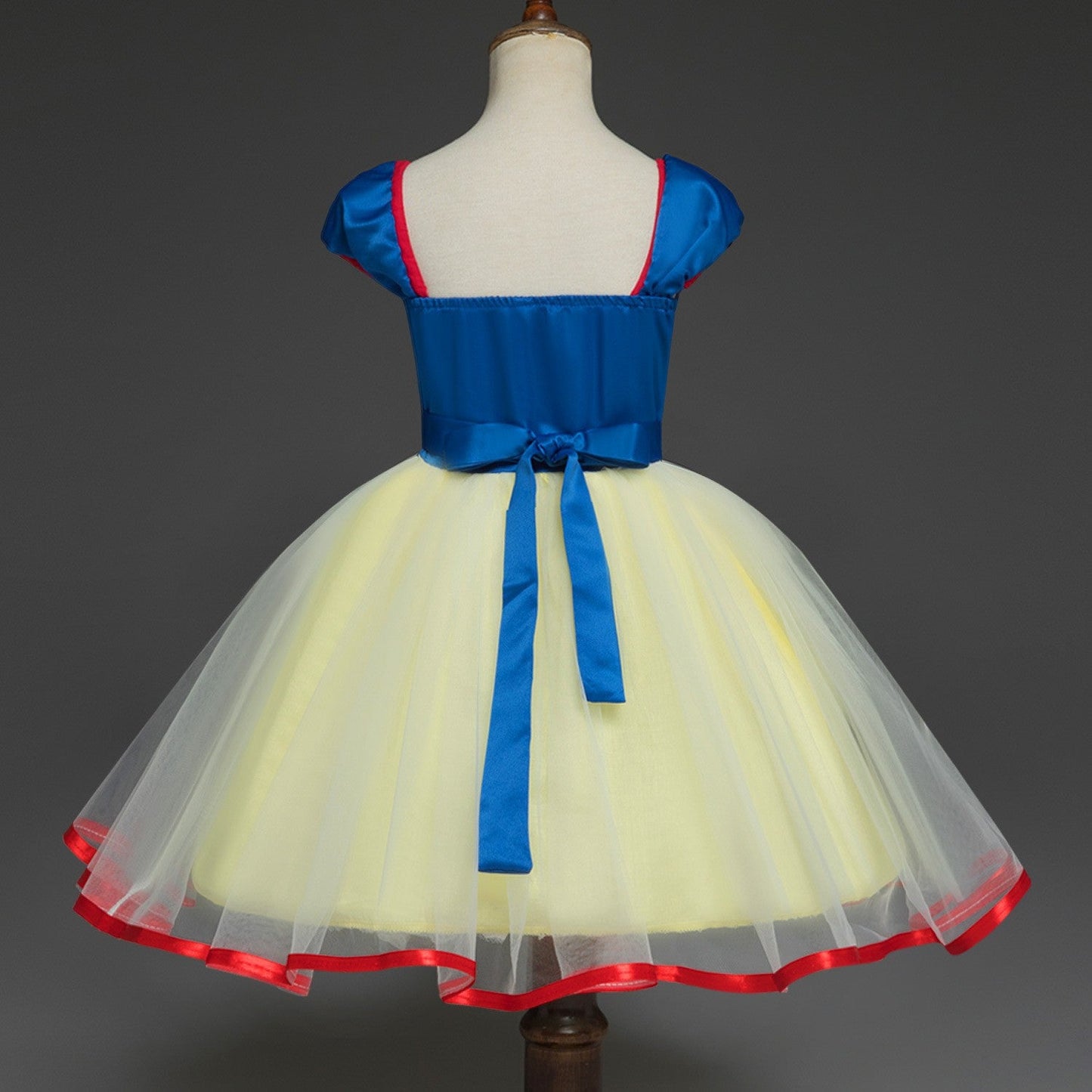 Little Girls Princess Dress Fancy Party Fancy Dress Up Outfit Cosplay Costume